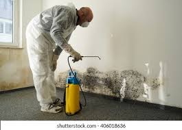 Biohazard Mold Removal in Tenino, WA